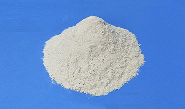 Wheat Gluten Powder